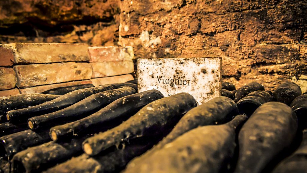 Zaprášené fľaše vína v pivnici s nápisom "Viognier".