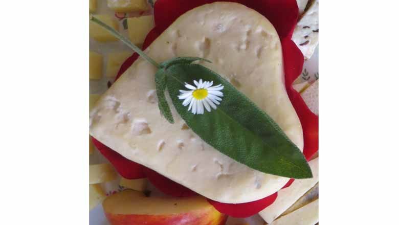 Cheese heart, &copy; Fam. R&ouml;gner