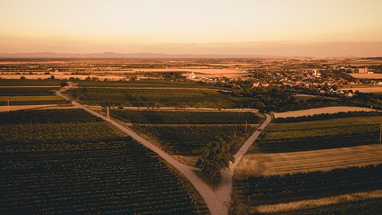 Traumhafter 3-L&auml;nder-Blick, &copy; Weingut Weinwurm / Michael Reidinger