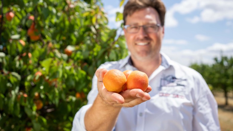 Apricot farm Hackl, © Netzwerk Kulinarik/pov.at