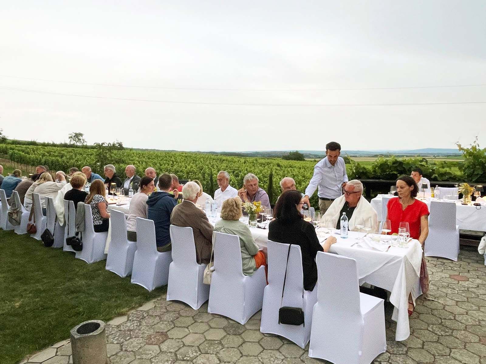 Menschen sitzen an einem langen Tisch im Freien, umgeben von Weinbergen.