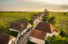 Kellergasse Zellerndorf, &copy; Weinviertel Tourismus / Robert Herbst