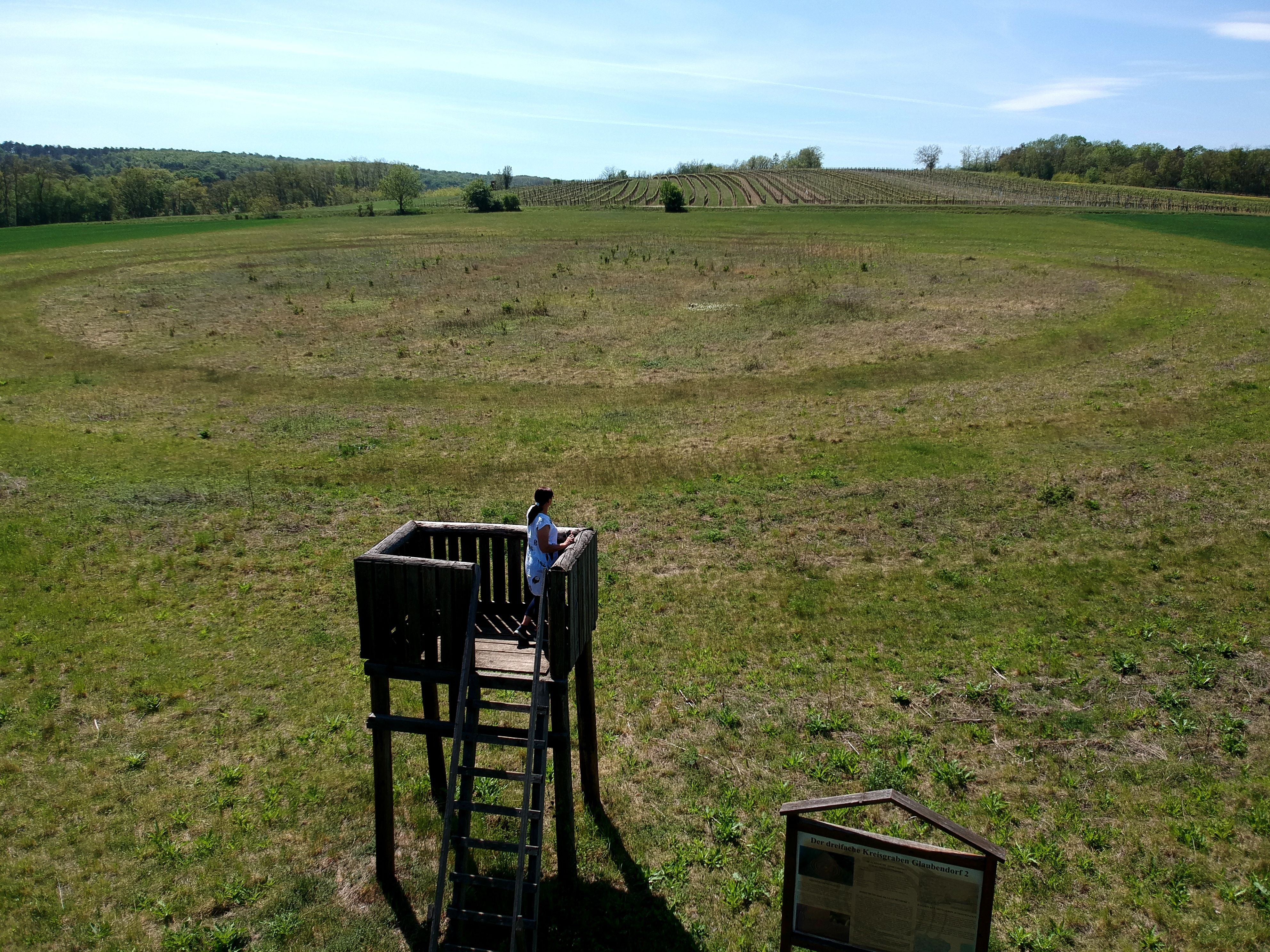 Aussichtsturm bei den Kreisgräben in Glaubendorf mit Person darauf, umgeben von grüner Landschaft.