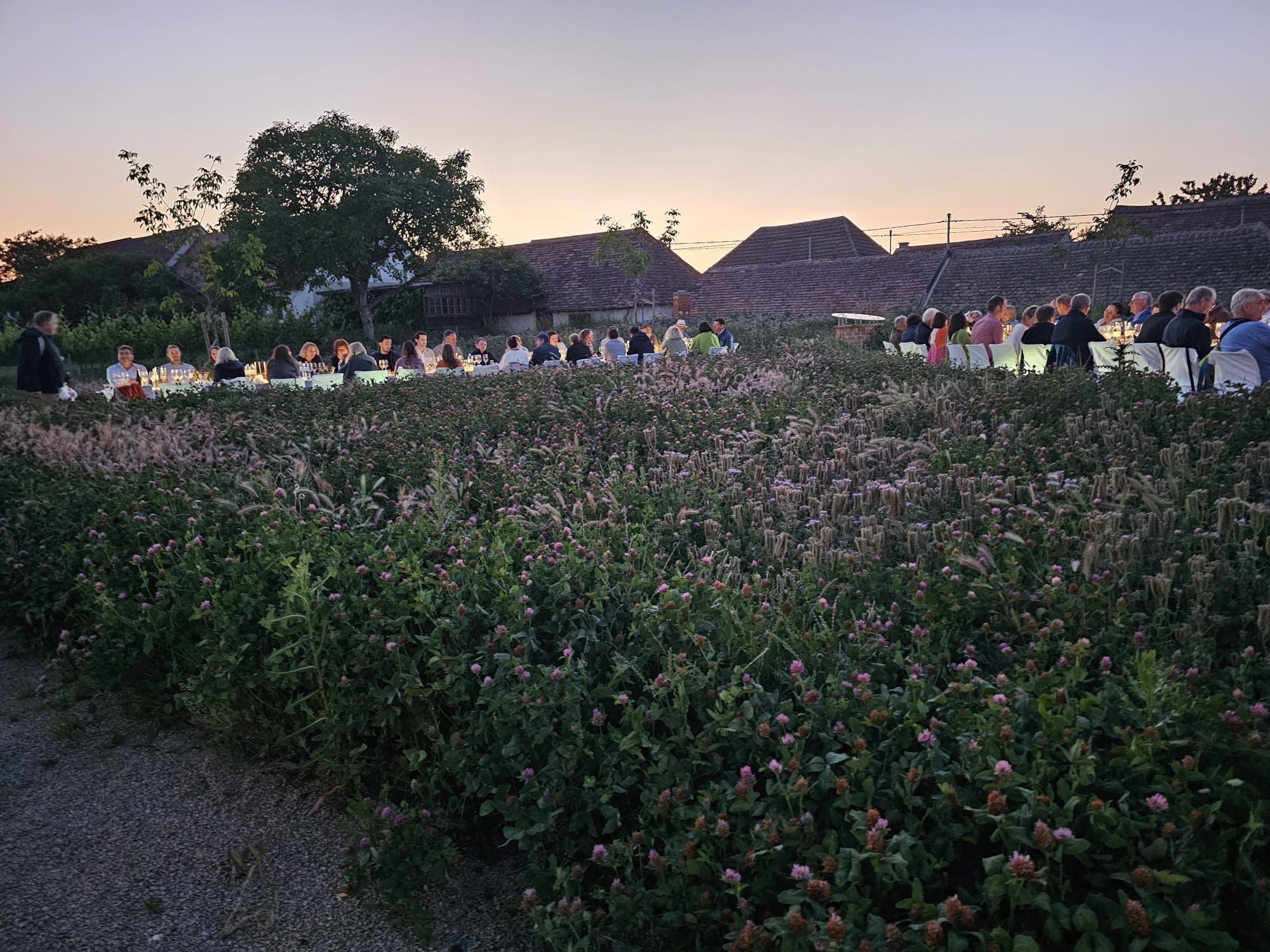 Menschen sitzen an einem langen Tisch im Freien bei Sonnenuntergang, umgeben von blühenden Pflanzen.
