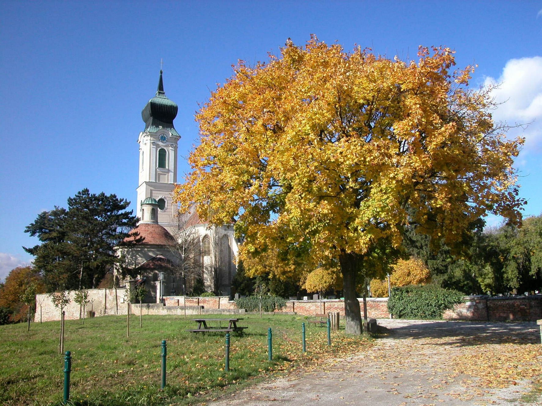 Kirche mit Turm und herbstlichem Baum im Vordergrund.