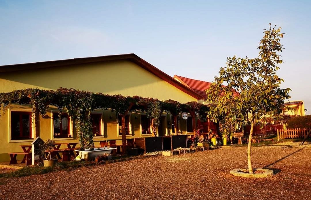 Gelbes Gebäude mit Terrasse, Weinreben und Baum im Vordergrund bei Sonnenuntergang.