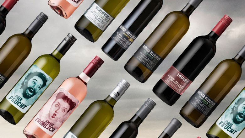 Verschiedene Weinflaschen in diagonaler Anordnung vor grauem Hintergrund.