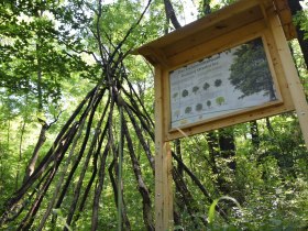 Waldlehrpfad, &copy; StadtGemeinde MistelbachMag. Mark Sch&ouml;nmann