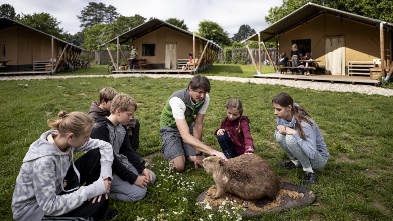 Exkursionen im Meierhof, &copy; Stefan Leitner