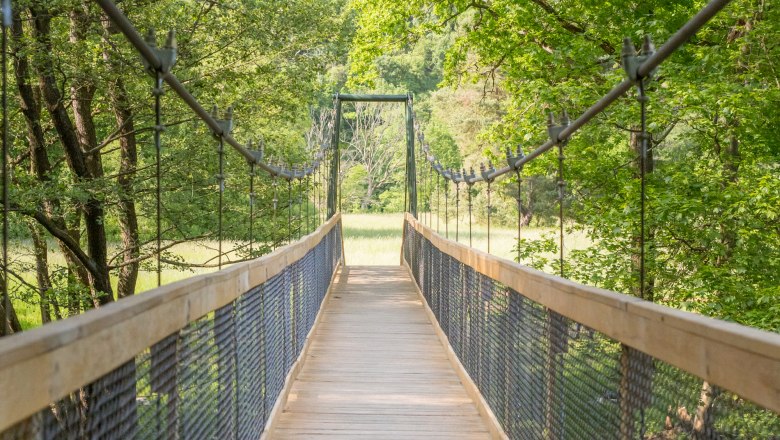 Suspension bridge in the Thayatal National Park surrounded by green trees.