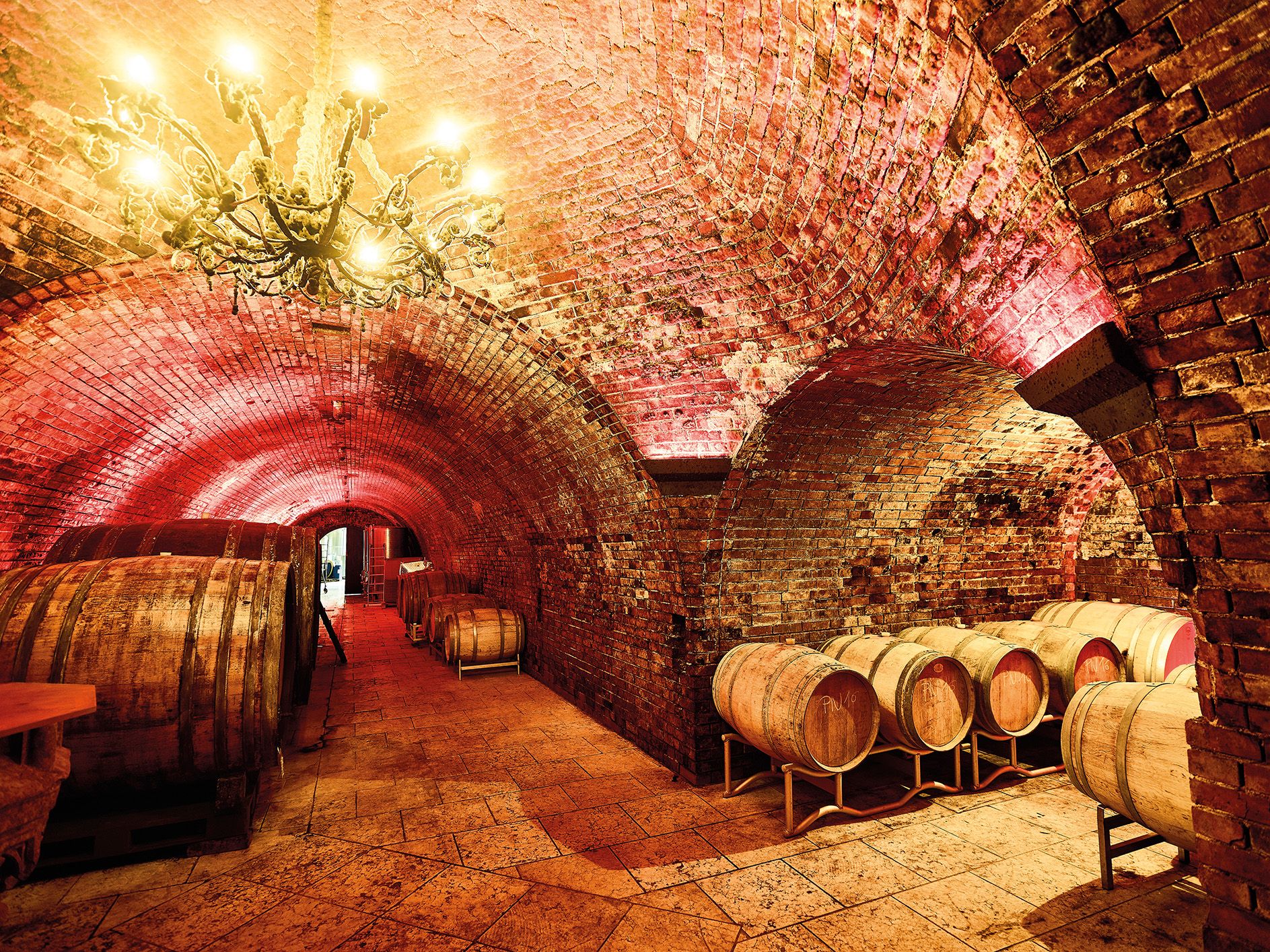 Ein stimmungsvoller Weinkeller mit Ziegelgewölbe und Holzfässern, beleuchtet von einem Kronleuchter.