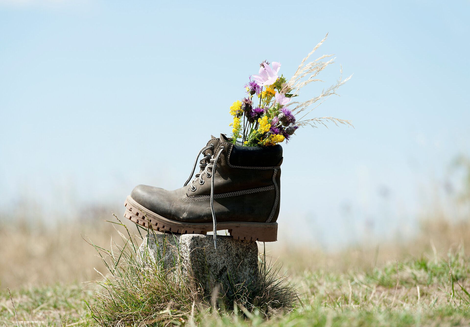 Ein Wanderschuh, der auf einem Stein steht, wird zum kreativen Blumenbehälter. Bunte Wildblumen sprießen aus dem Schuh und verleihen der Szenerie einen Hauch von Lebendigkeit und Naturverbundenheit. Diese harmonische Verbindung von Mensch und Natur lädt dazu ein, die Schönheit der Umgebung zu erkunden.
