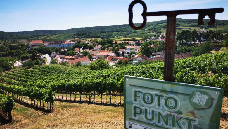 View of a village surrounded by vineyards with a 'photo point' sign in the foreground.