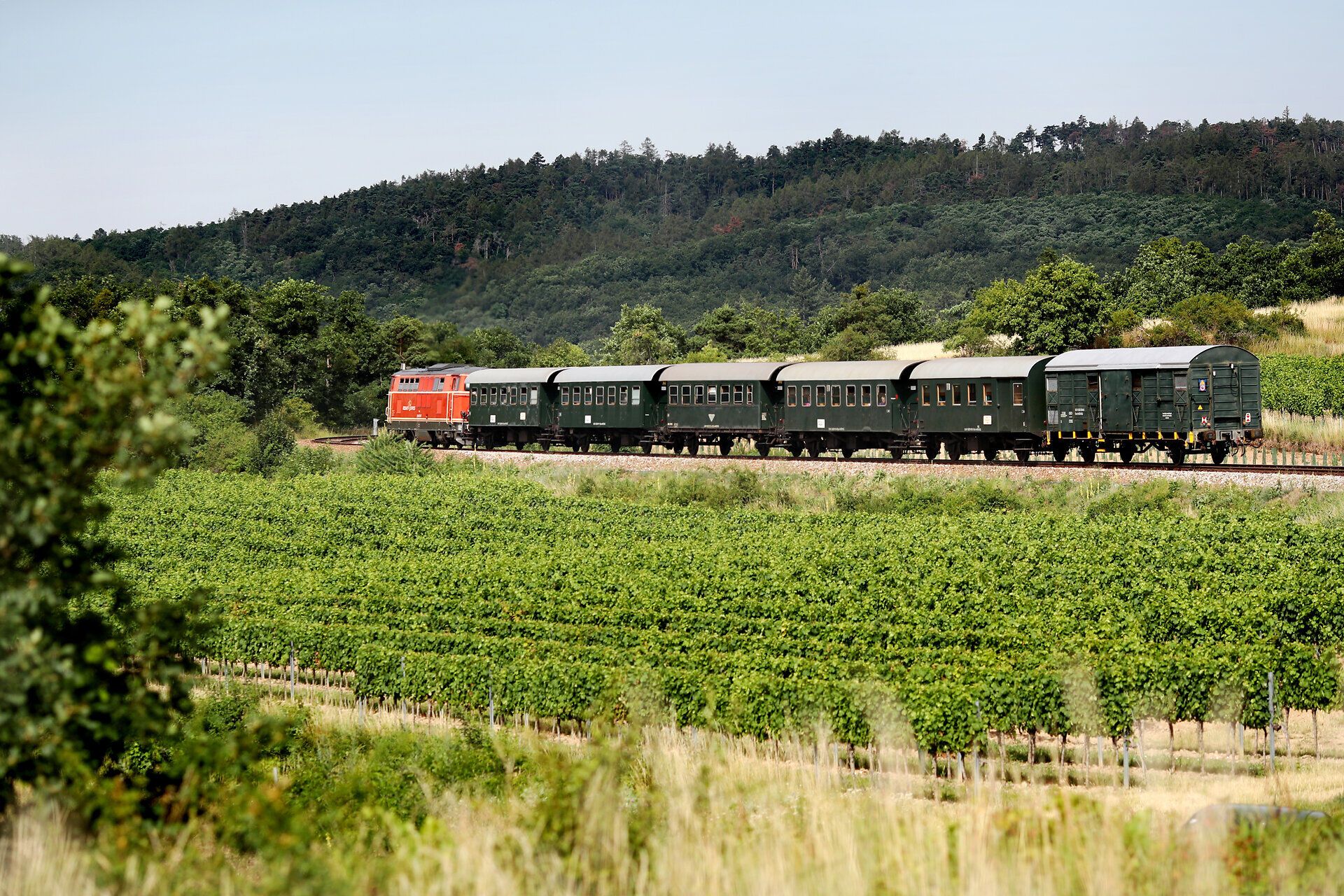 Der Reblausexpress, ein historischer Zug von Retz nach Drosendorf