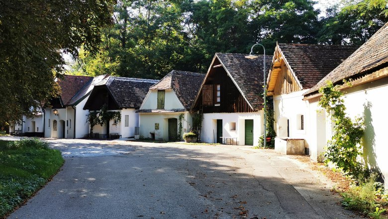 Eine malerische Kellergasse mit traditionellen Gebäuden und Bäumen im Hintergrund.