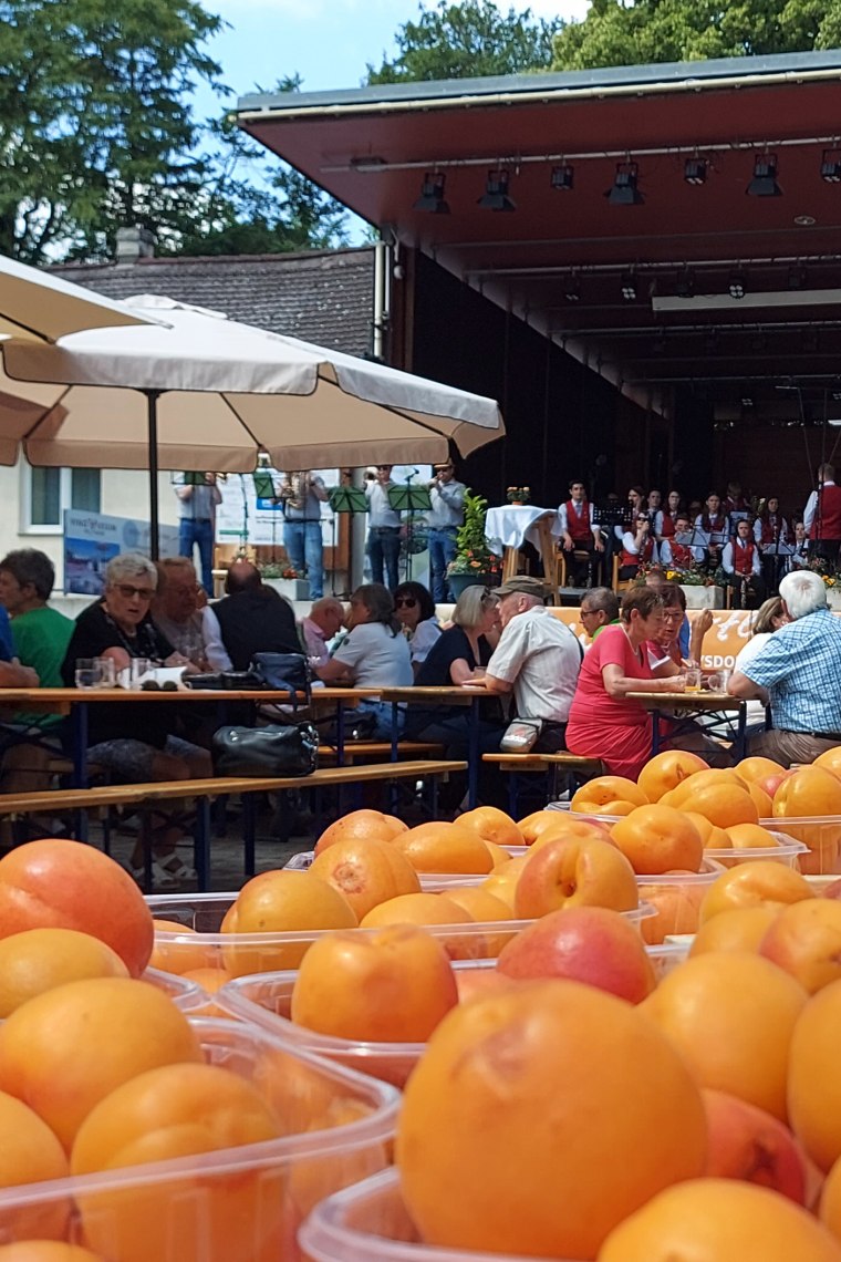 Wein trifft Marille, © Vino Versum