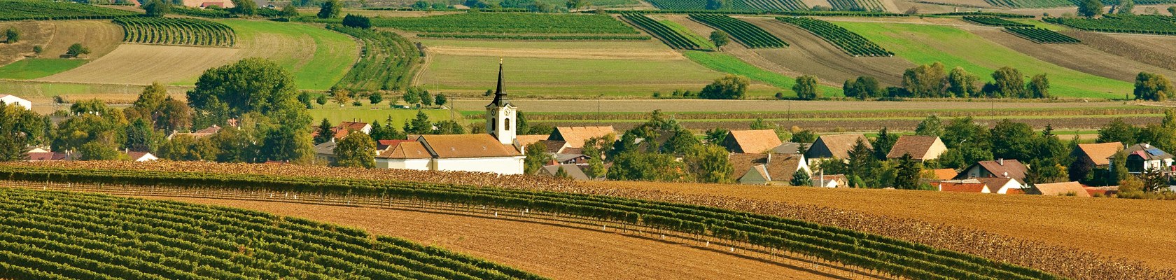 Weinviertler Orte, © Weinviertel Tourismus / Lammerhuber