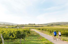 Radeln durch das Weinviertel, &copy; Nieder&ouml;sterreich Werbung / Astrid Bartl