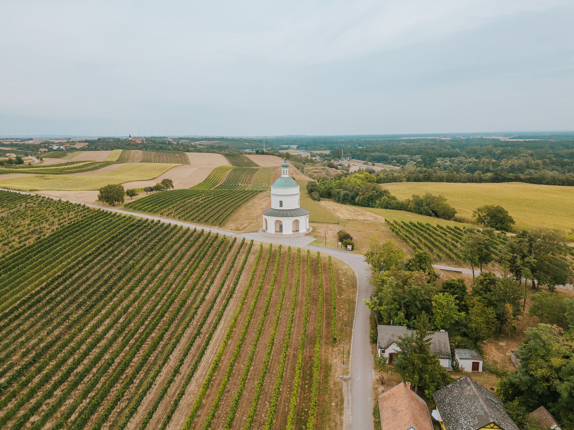 Sanfte Hügel und endlose Weinreben umarmen die malerische Landschaft, während die charmante Kellergasse einladend zur Erkundung einlädt. Hier, wo die Natur und die Tradition des Weinbaus harmonisch verschmelzen, spürt man die Ruhe und den Zauber der Region.