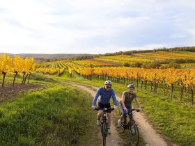 Radfahren im Weinviertel, © Retzer Land / Astrid Bartl