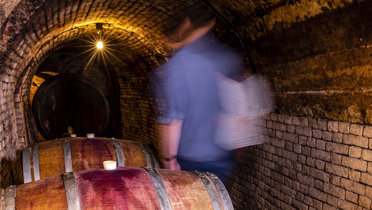 Blurred person in a wine cellar with wooden barrels and brick walls.