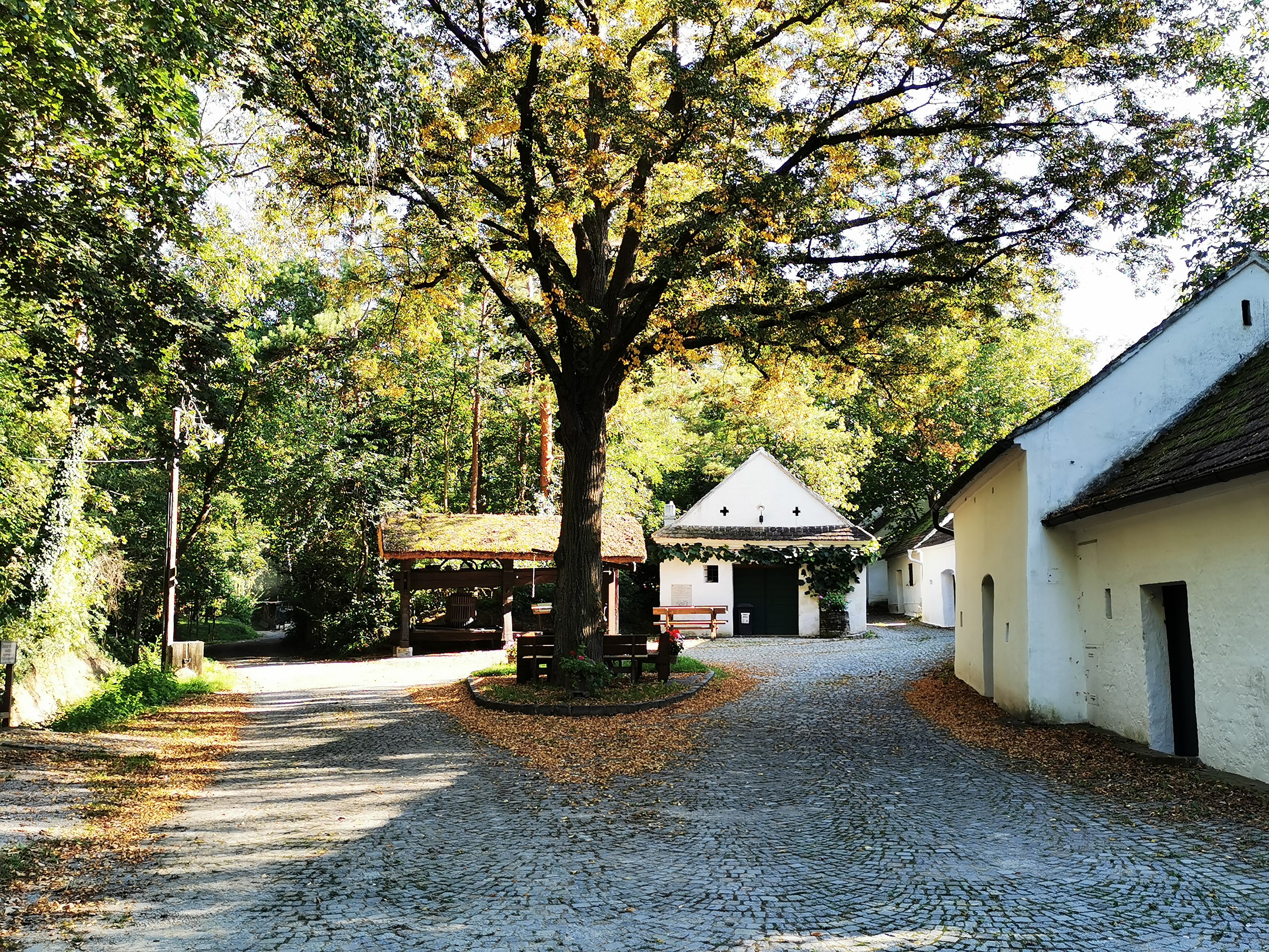 Idyllic square in Raschala with cobblestones, trees and white buildings.