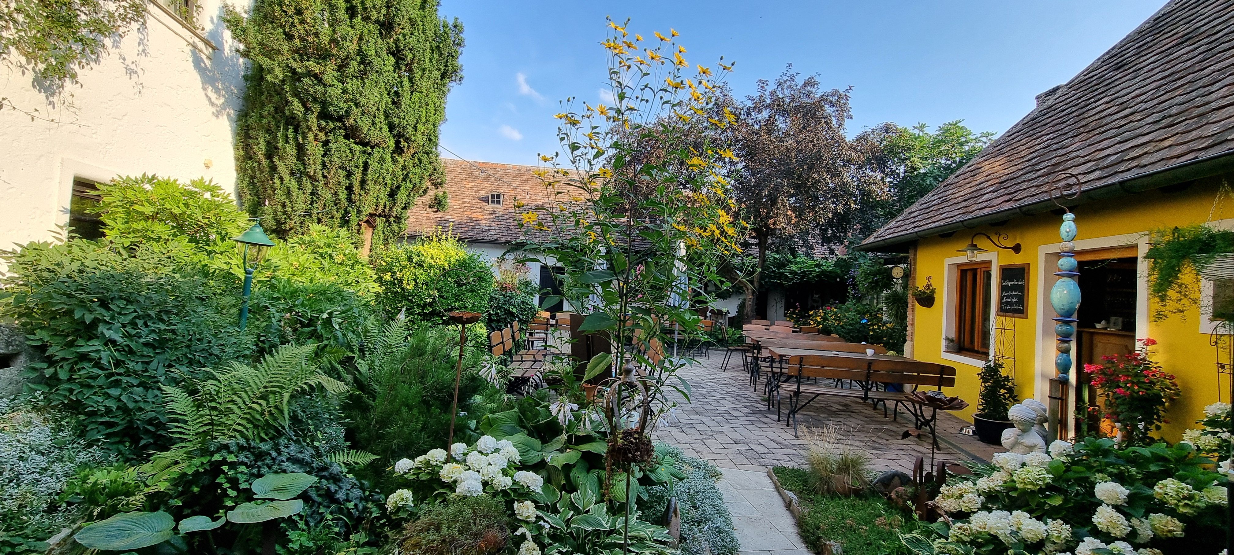 Ein gemütlicher Garten mit gelbem Gebäude, Holzbänken und üppiger Vegetation unter blauem Himmel.