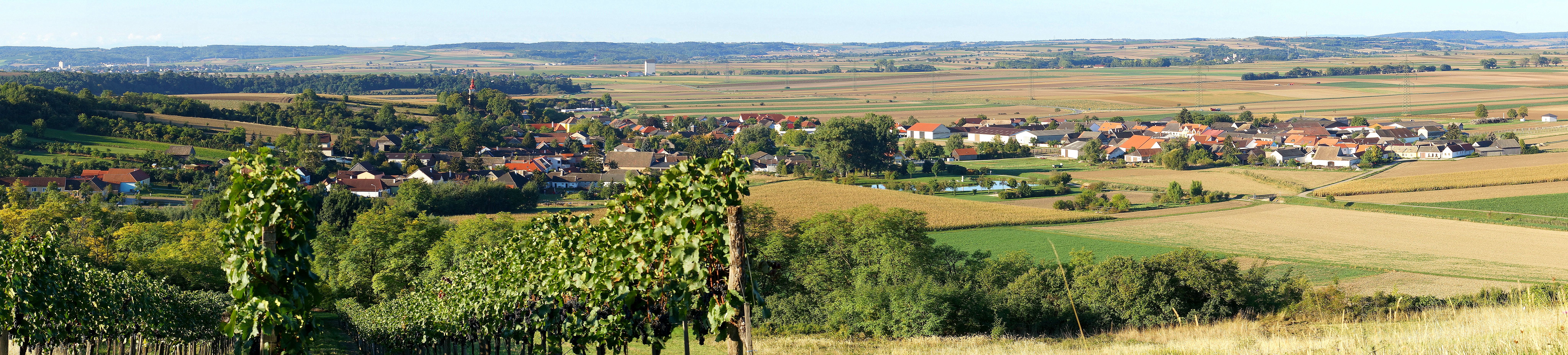 Panorama eines Dorfes mit Feldern und Weinbergen im Vordergrund.