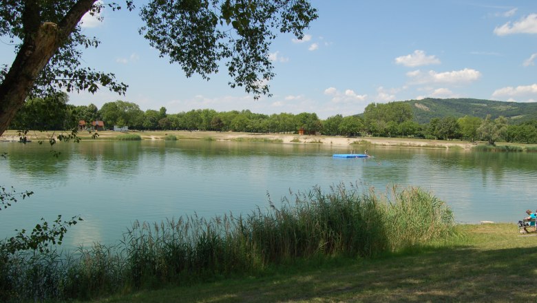 Ein ruhiger See mit Bäumen und einem Steg im Hintergrund, umgeben von grüner Landschaft.