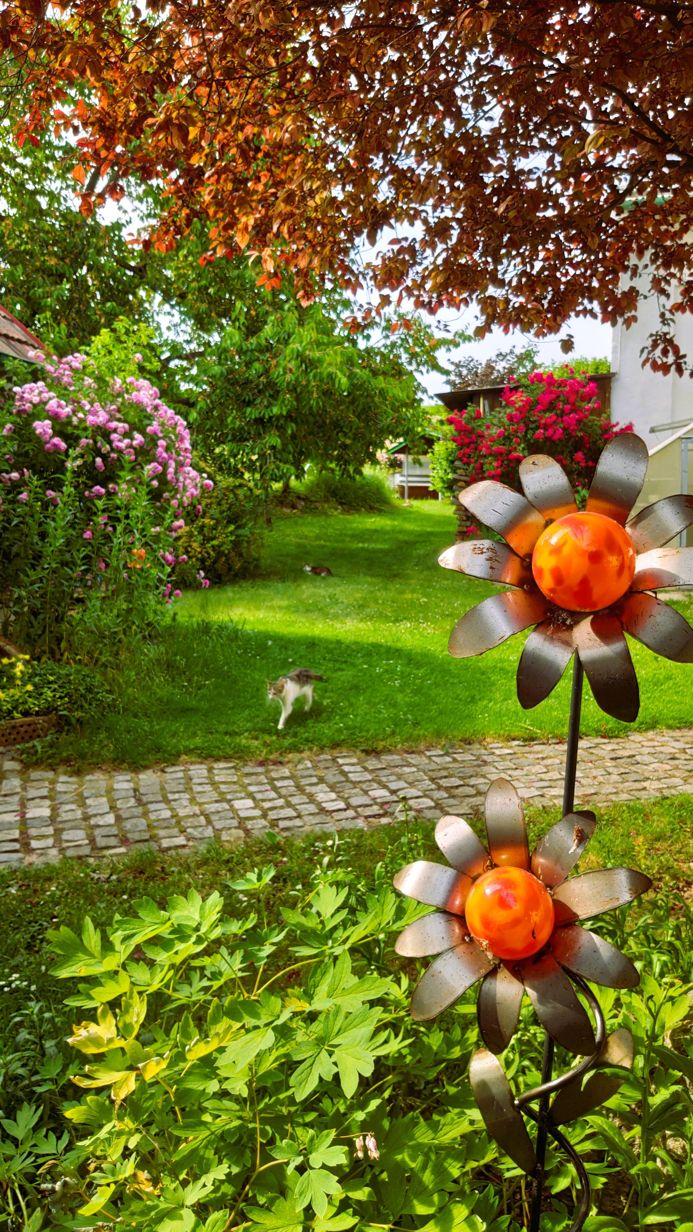 Záhrada s kvetmi, mačkou a kovovými kvetmi.