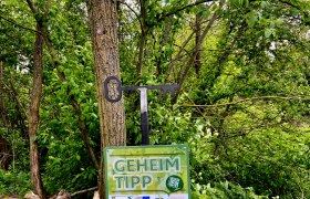 Ein Schild mit der Aufschrift 'Geheimtipp' vor einem Baum in einem Waldgebiet.