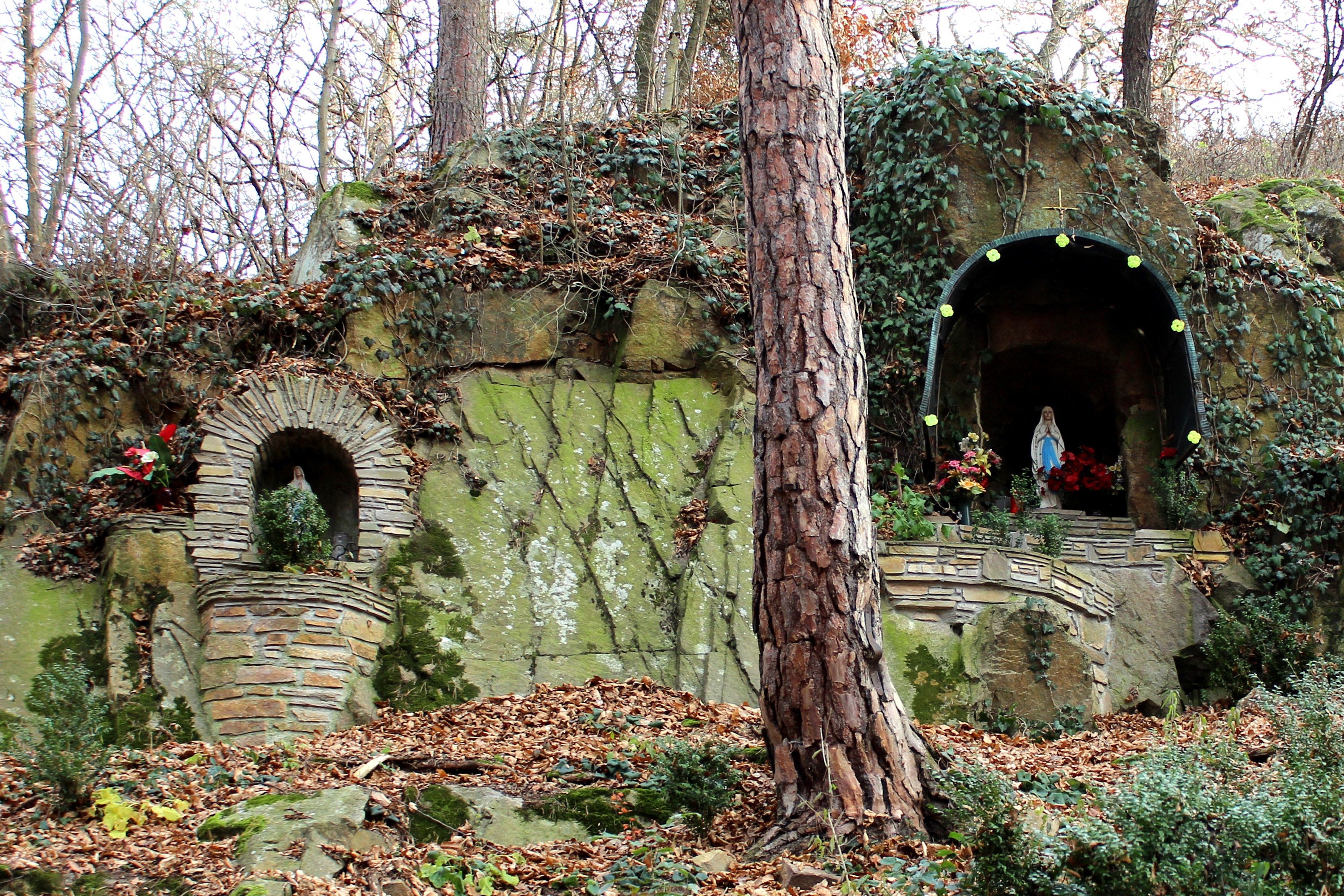 Eine steinerne Grotte mit einer Marienstatue und Pflanzen, umgeben von Bäumen und Laub.