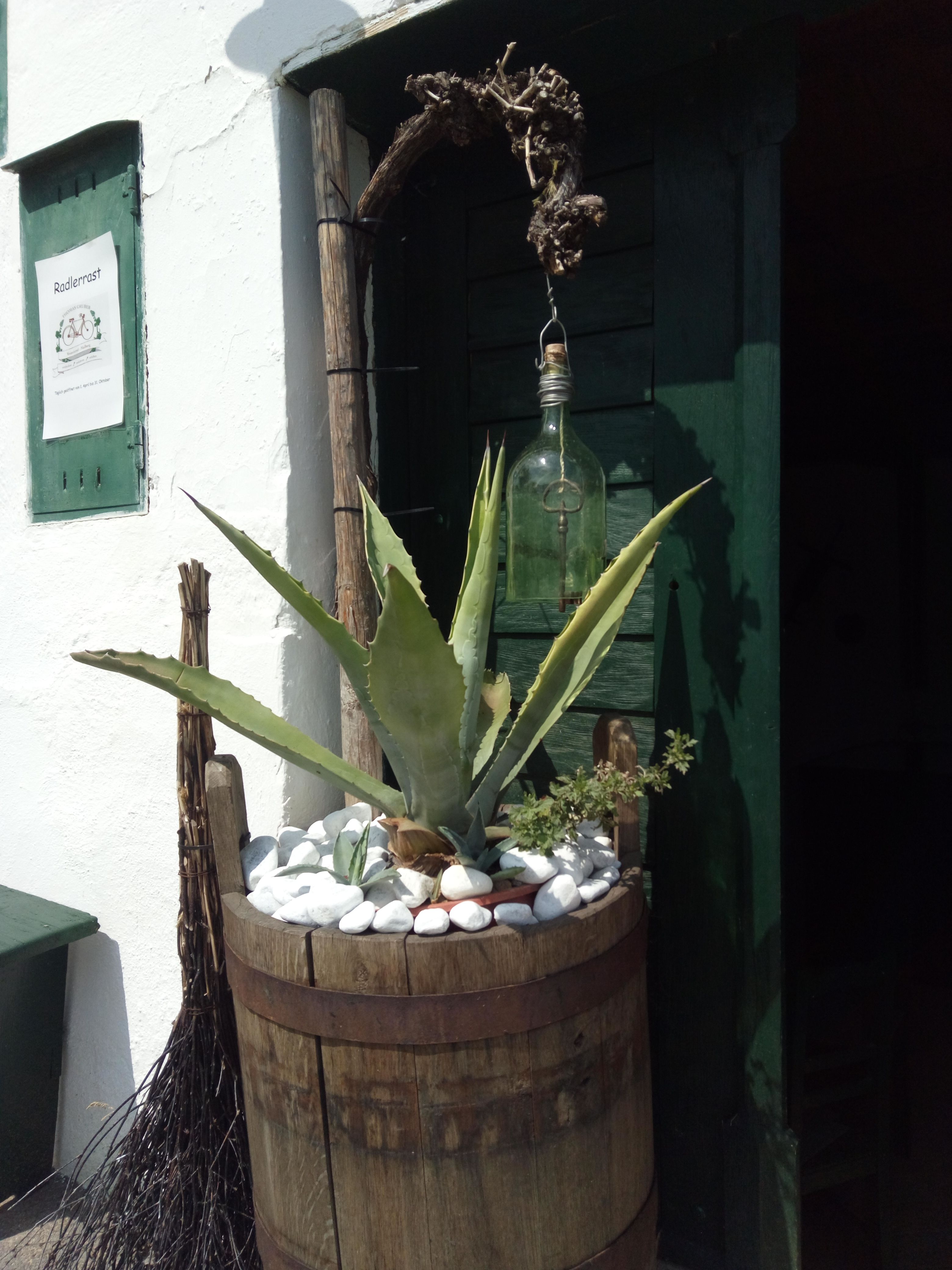 Pflanze in einem Holzfass vor einer grünen Tür mit einem Schild 'Radlerrast'.