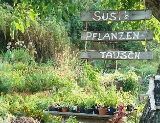 Susi's Pflanzentausch