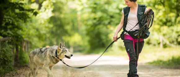 Spaziergang mit einem Wolf, © Rooobert Bayer @ WolfScienceCenter/vetmeduni Wien