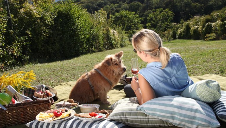 Weinviertel picnic, © Brigitte Gradwohl/Sandra Dorfner-Rösel