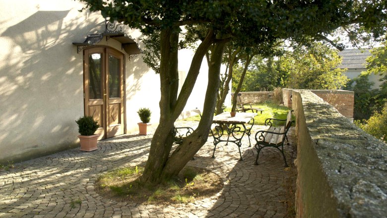 Sunny terrace with trees, wooden table and benches on cobblestones.