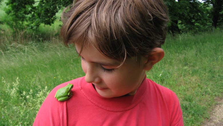 Ein Junge in einem roten T-Shirt schaut auf einen grünen Frosch auf seiner Schulter. Im Hintergrund ist eine grüne Wiese zu sehen.