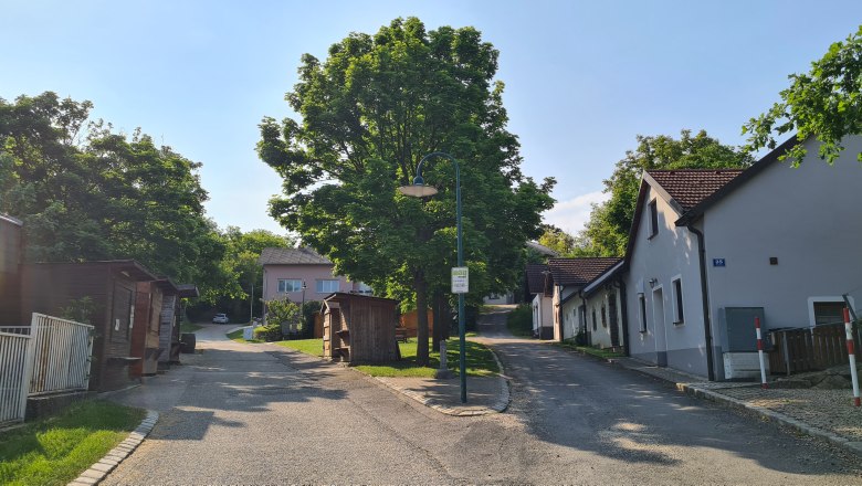 Eine ruhige Stra&szlig;e mit B&auml;umen und H&auml;usern in einem Dorf bei sonnigem Wetter.