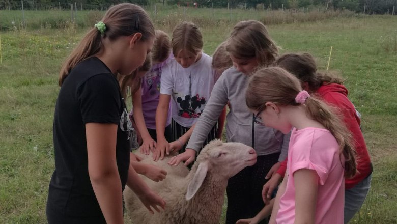 Kindergeburtstag, &copy; Quantlwirtschaft