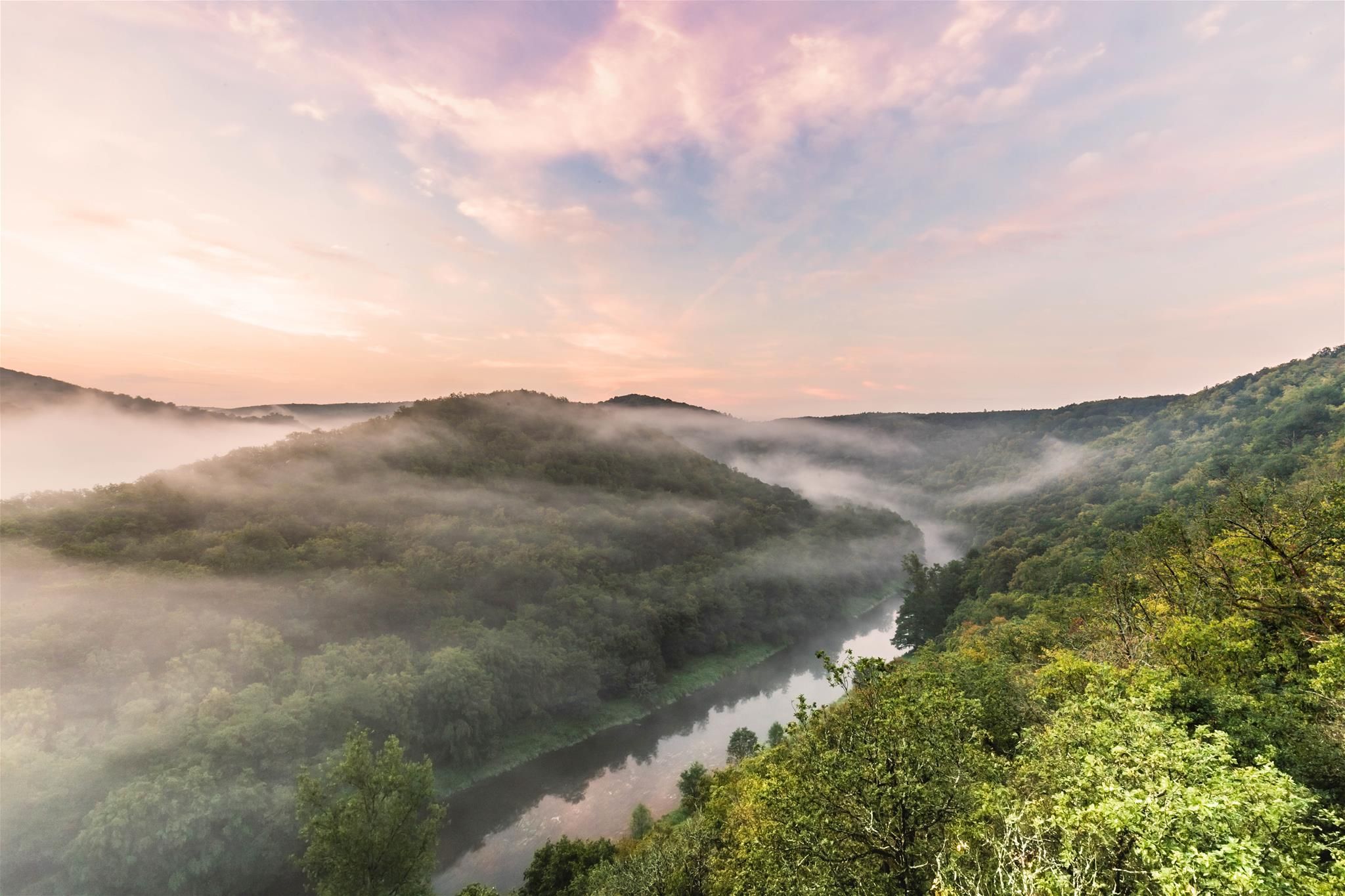 Blick über den Nationalpark Thayatal