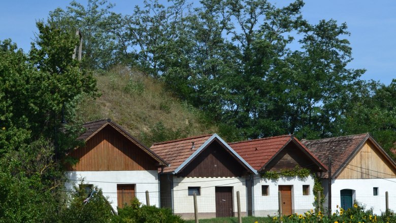Three traditional wine cellars with red roofs in a rural setting, surrounded by trees and sunflowers.