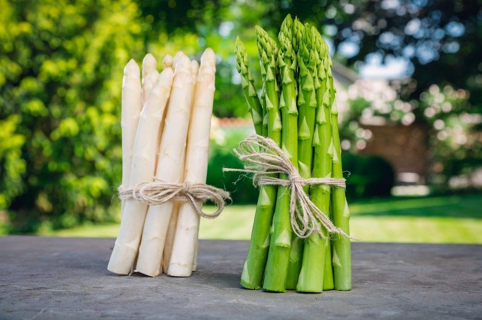 Bündel von weißem und grünem Spargel auf einem Tisch im Freien.