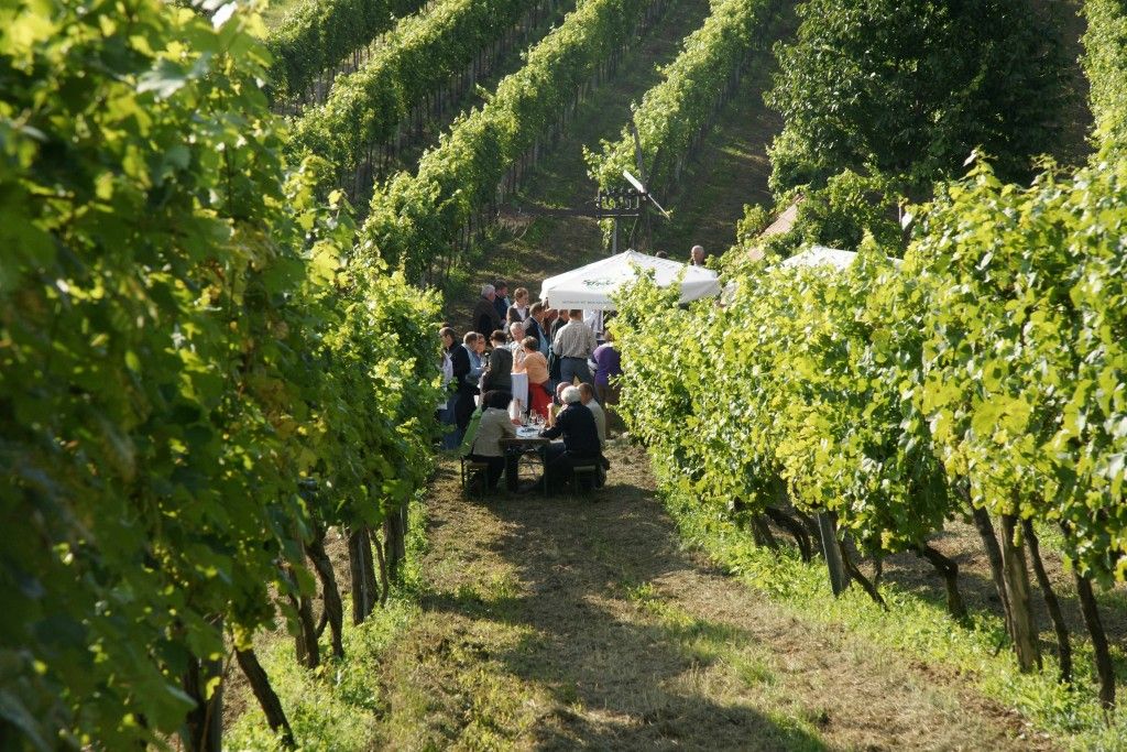 Käse & Wein im Stixenkreuter