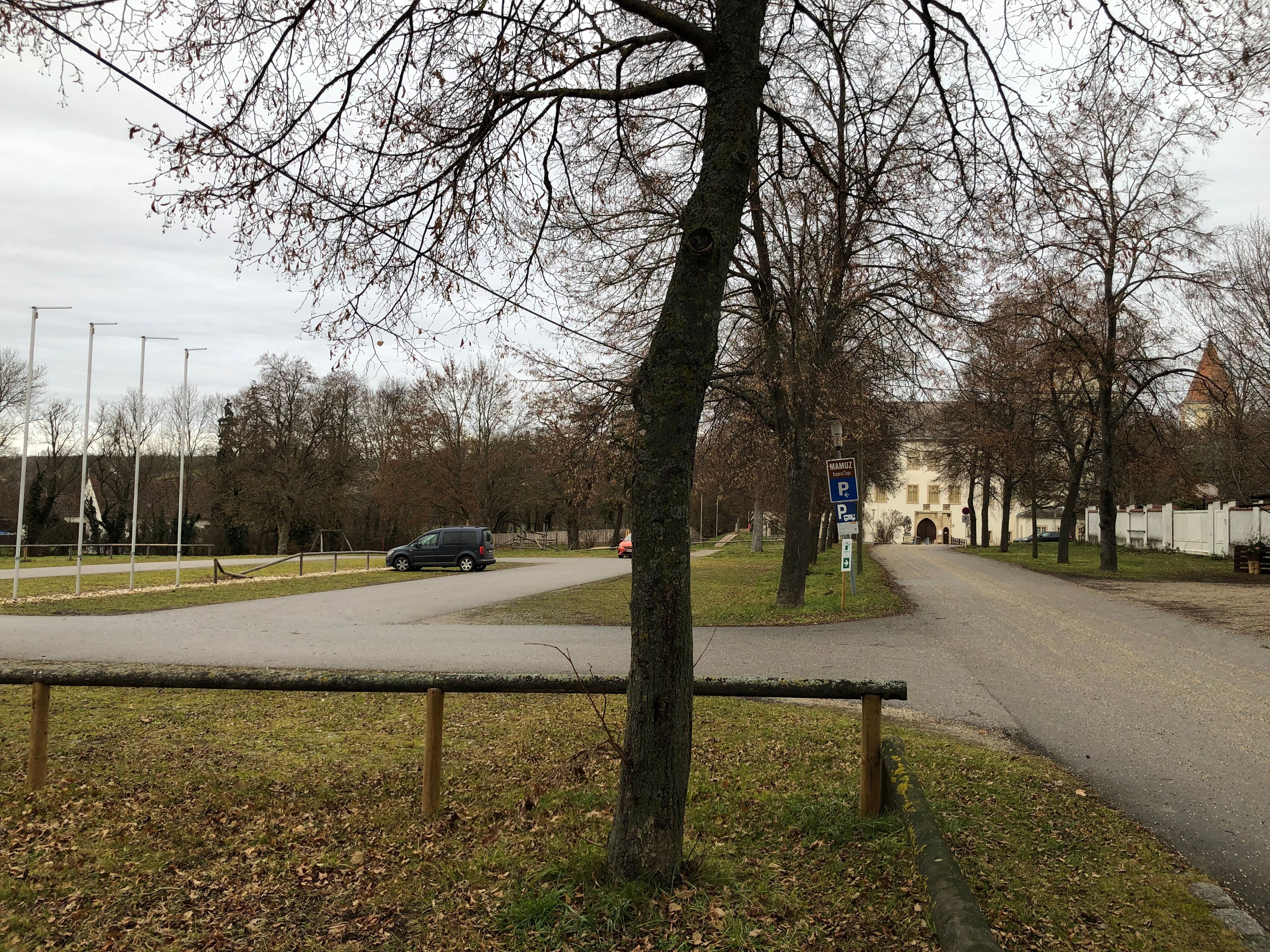 Parkoviště se stromy a budovou v pozadí.