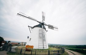Windmühle Retz, © Weinviertel Tourismus / Gollner