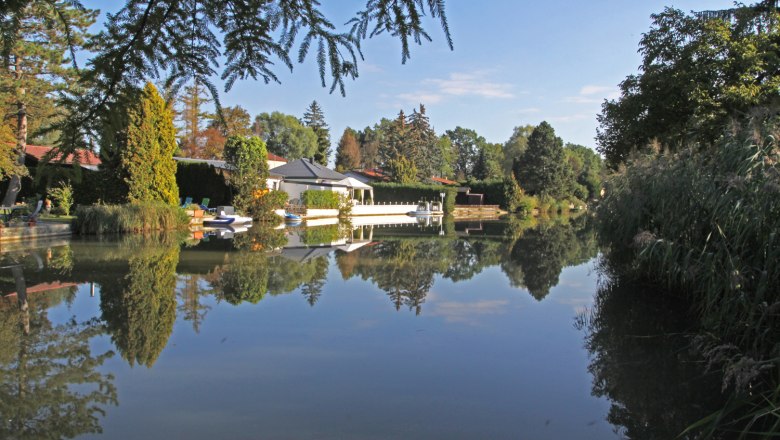 Ein ruhiger Teich mit Spiegelung von Bäumen und Häusern im Wasser.