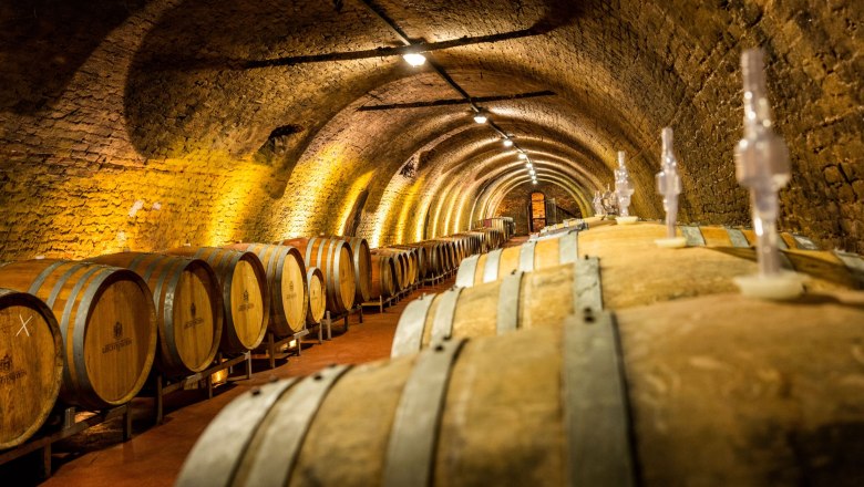 Ein Weinkeller mit vielen Holzfässern in einem gewölbten, beleuchteten Raum.