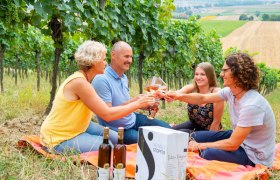 Vier Personen sto&szlig;en mit Weingl&auml;sern in einem Weinberg an.