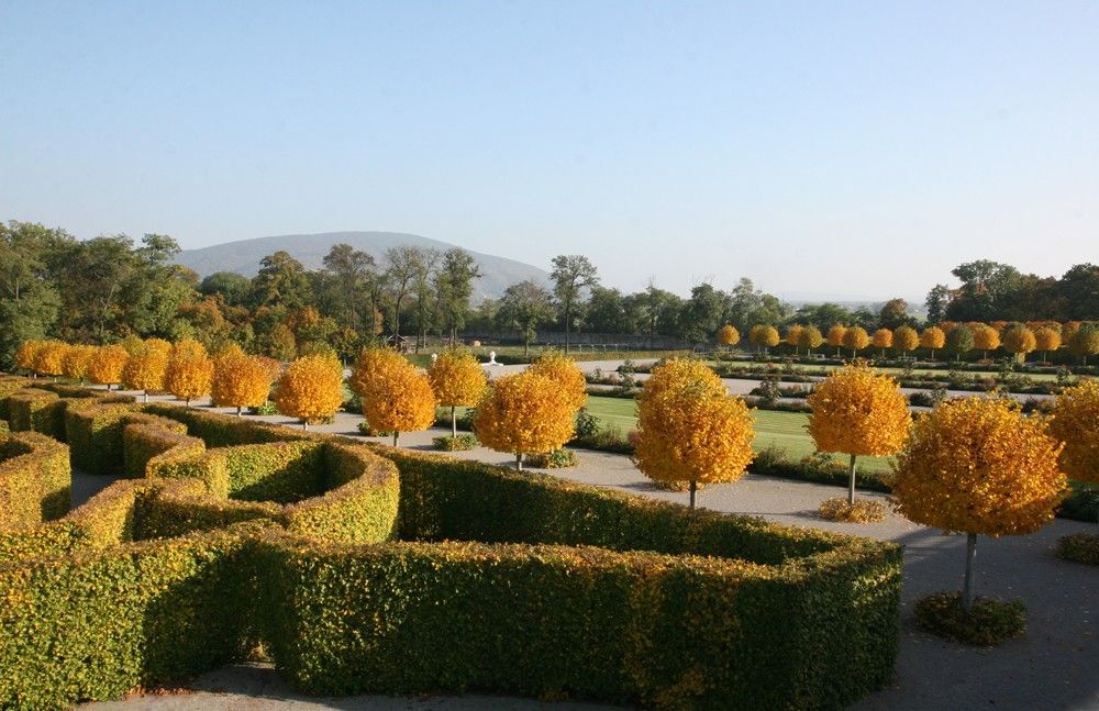 Herbstgartentage auf Schloss Hof
